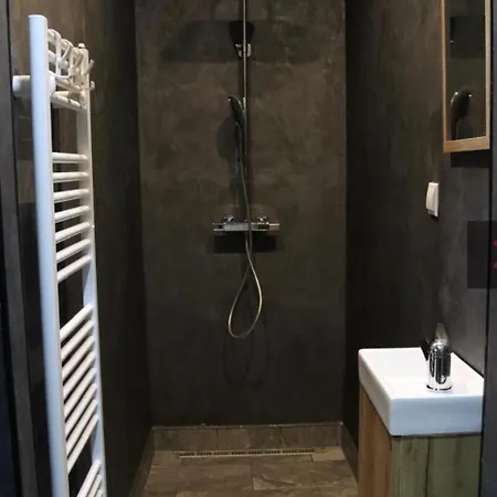S Privatni Saunou Apartment
